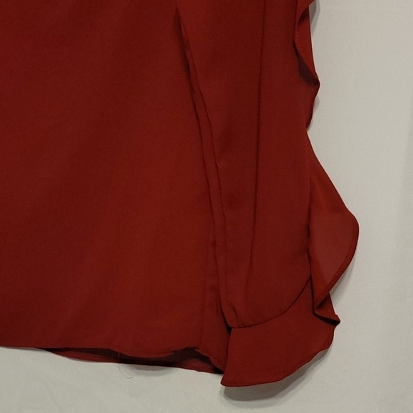 ROZ Ali Chiffon Ruffle Long  Sleeve Blouse - Picture 3 of 10